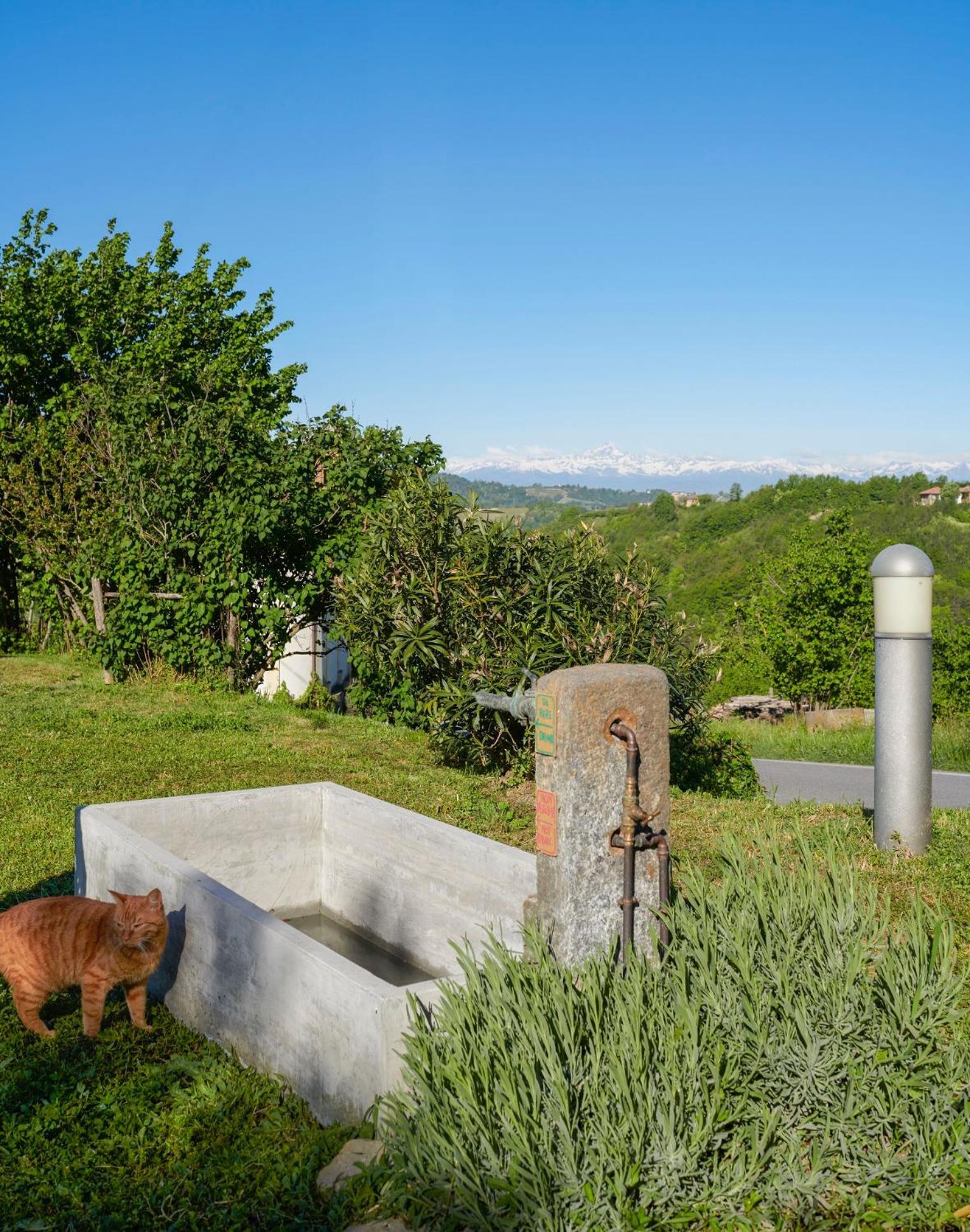 Cascina Sant'Eufemia Sinio Exterior foto